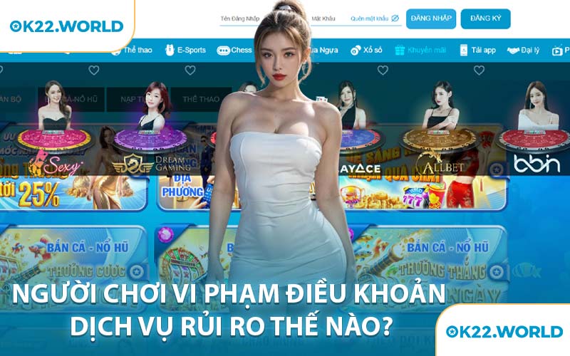 Người Chơi Vi Phạm Điều Khoản Dịch Vụ Rủi Ro Thế Nào?